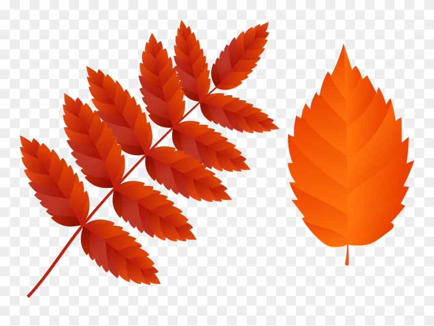 Orange Fall Leaves Clipart - Png Download