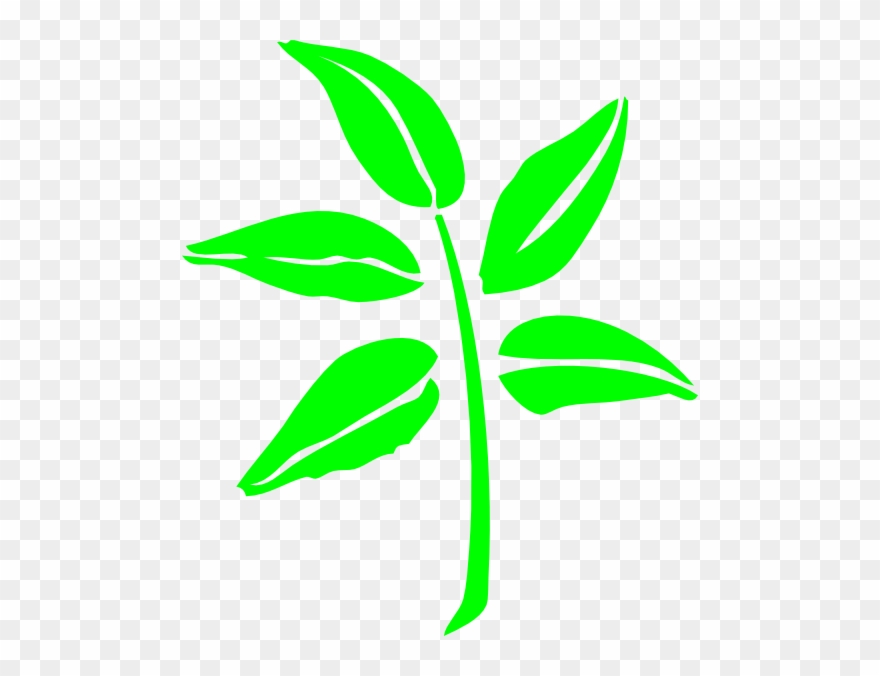 Leaf Silhouette Clip Art At Clkercom Vector Online - Neem Leaf Silhouette - Png Download