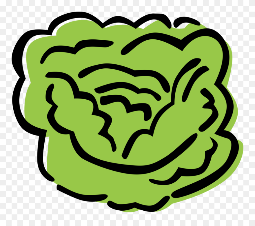 Lettuce Clipart Sliced - Alface Vetor Png Transparent Png