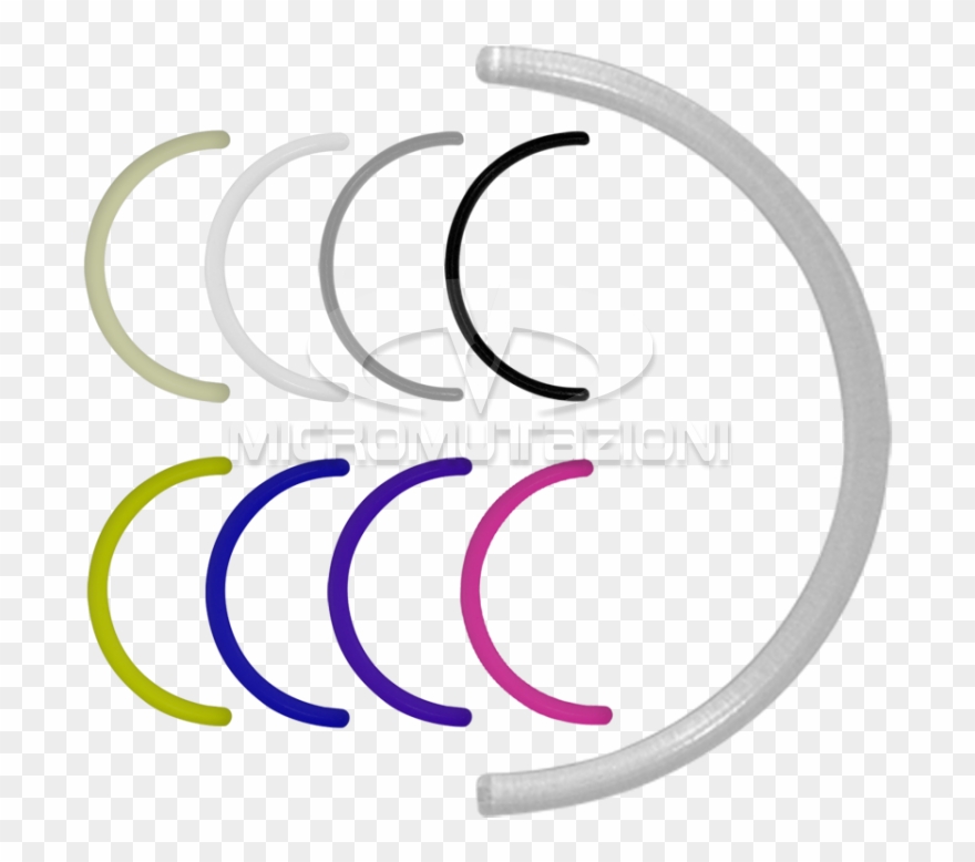 Jpg Royalty Free Download Barbell Clipart Curved - Barbell - Png Download