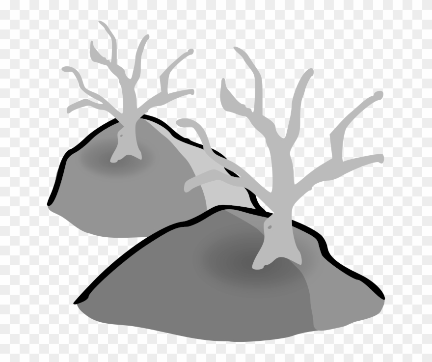 Medium Image - Dead Forest Map Icon Clipart