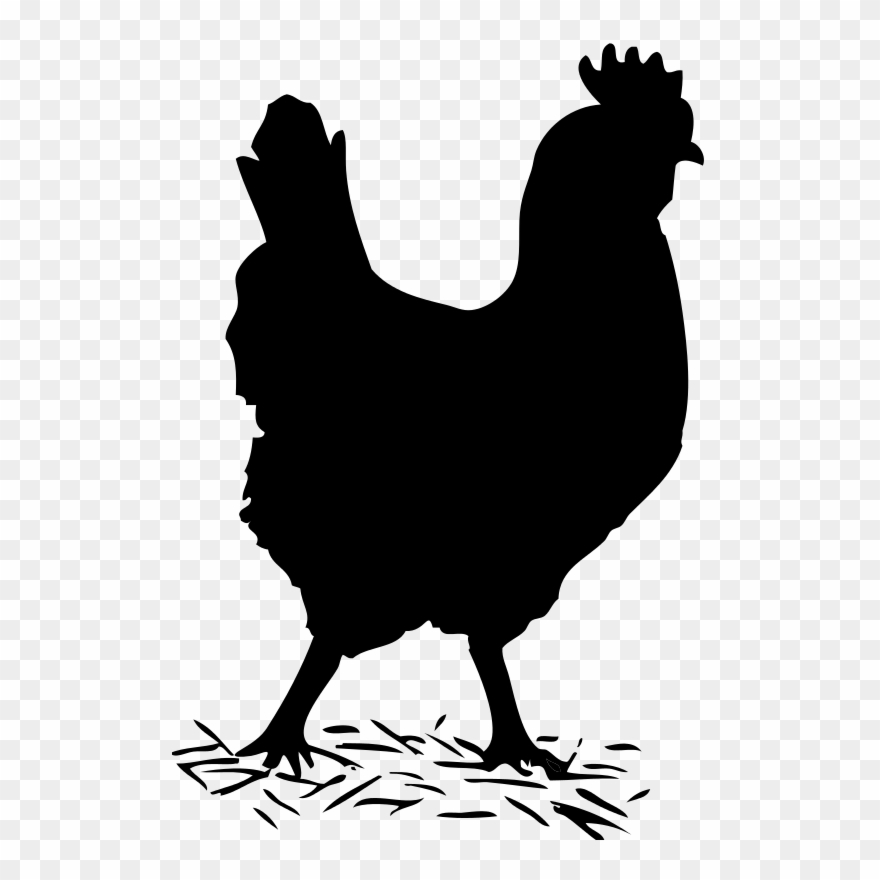 Chicken Clipart Shadow - Chicken Clipart Black And White - Png Download