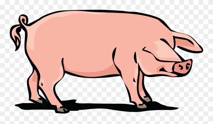 Hog Huge Freebie Download For Powerpoint - Pig Pork Clipart - Png Download