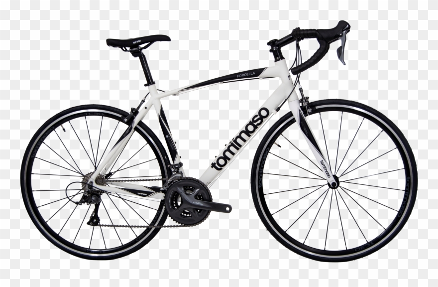 Clip Art Library Library Bike Transparent Road - Tommaso - Png Download