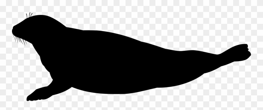 Cat Silhouette Sea Lion Black Download - Silhouette Of A Seal Clipart