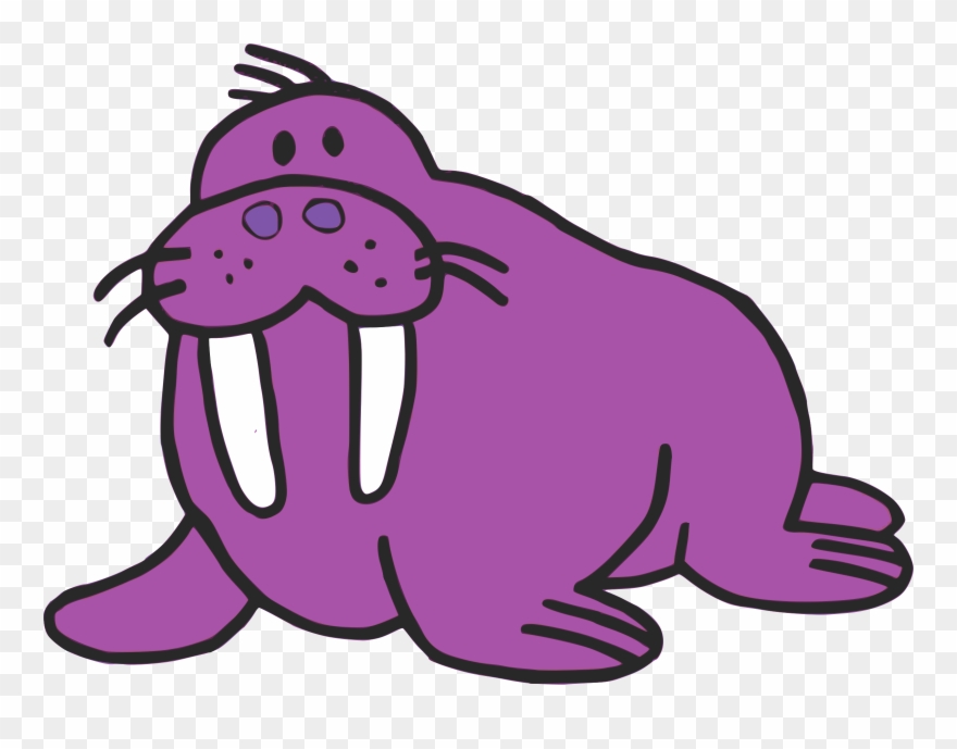 Walrus Sea Lion Drawing Clip Art - Purple Walrus - Png Download