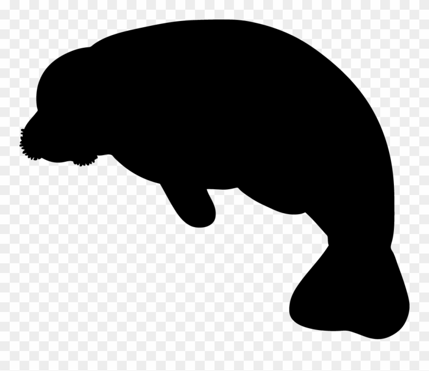 Manatee Clipart Black And White 20 - Manatee Clip Art - Png Download