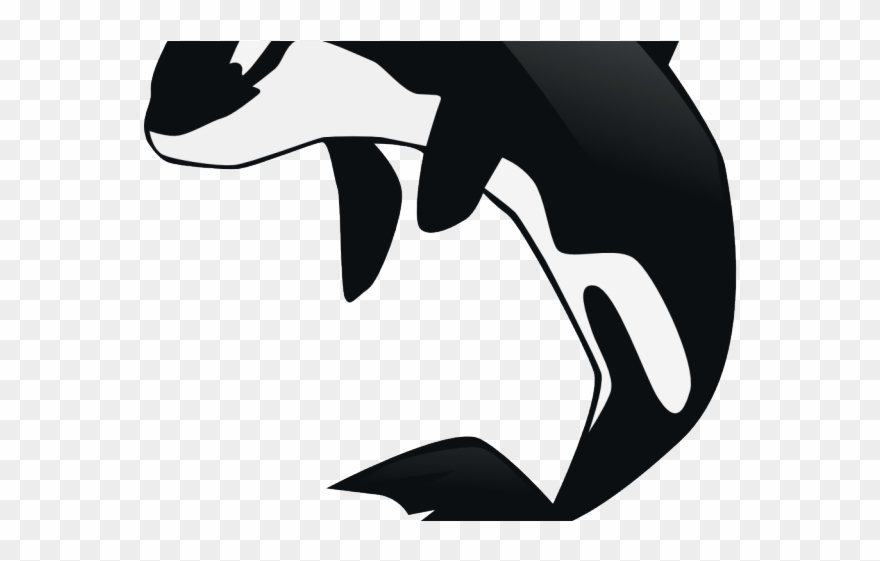 Whale Clipart Sea Animal - Killer Whale Transparent Background - Png Download