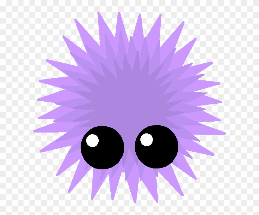 Sea Urchin Image Mopeio - Prize Draw Icon Clipart