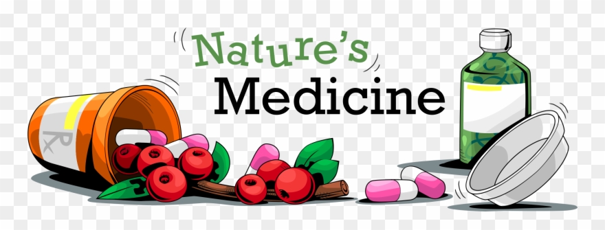 Medicine Developed From Nature - Mexico Travel Guide: The Top 10 Highlights Clipart