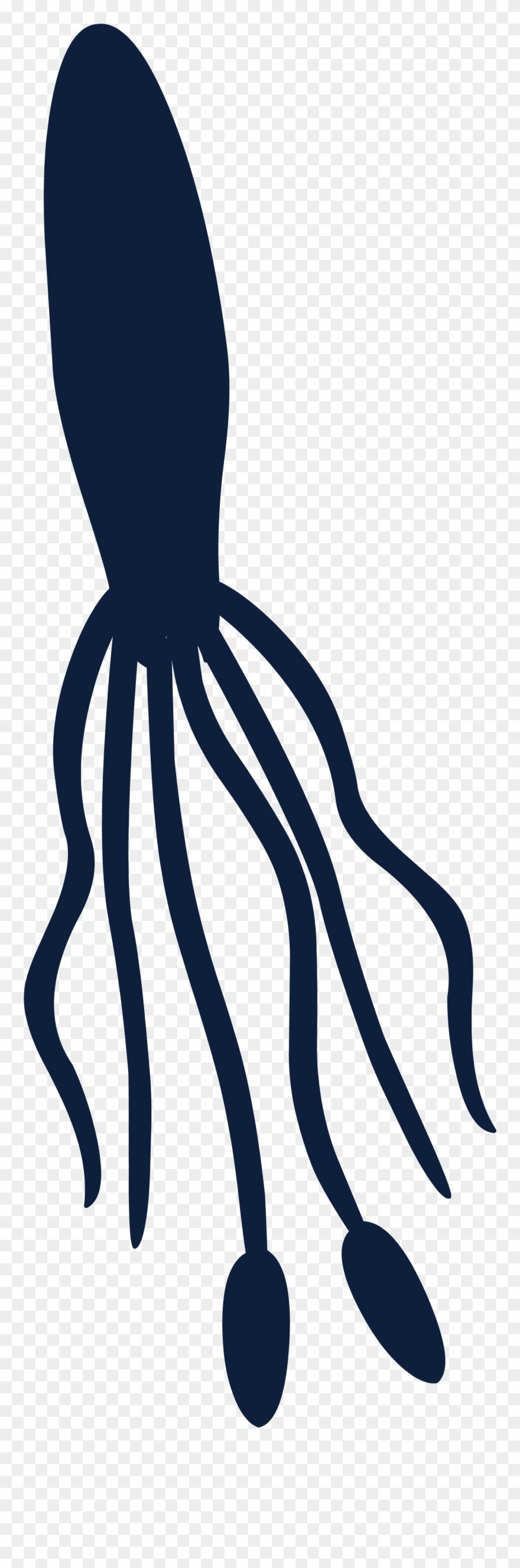 Giant Club Penguin Rewritten Wiki Fandom Powered - Squid Spotter Stamp Tries To Obtain Clipart