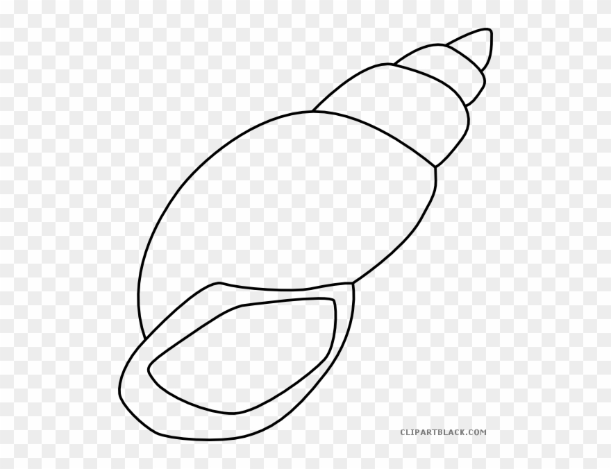 Seashell Outline Animal Free Black White Images - Black Seashell Clip Art - Png Download