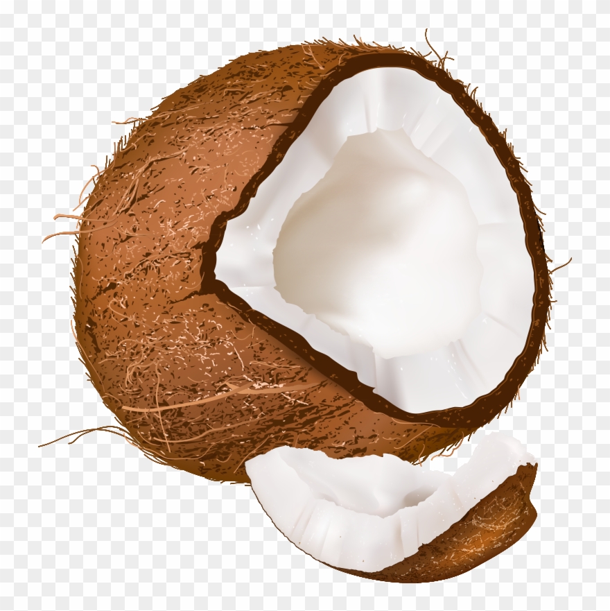 Coconut Clipart Clear Background - Coconut Clipart Transparent Background - Png Download