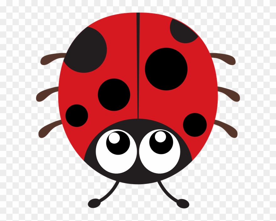 Joaninhas Clipart