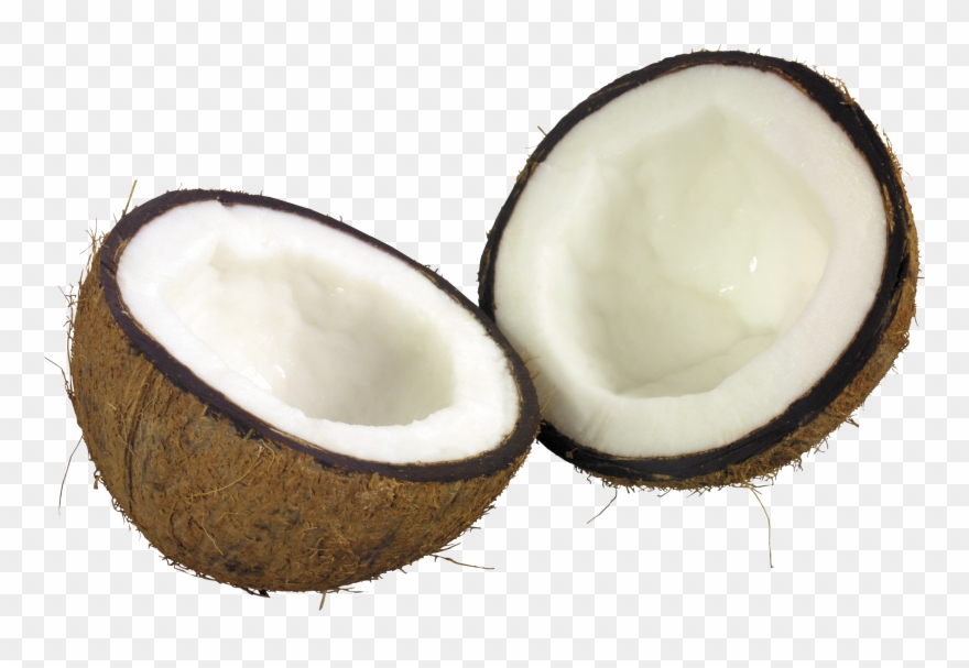 Coconut Clipart Clear Background - Coconut Png Transparent Png