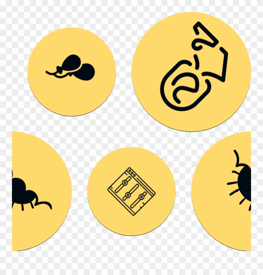 Pixbot › Pattern Design - Circle Clipart