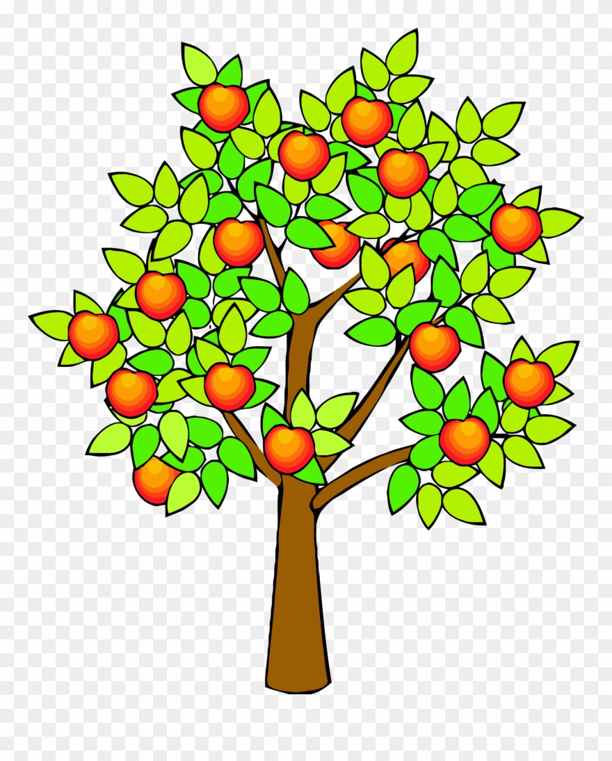 Spring Green Tree Clipart Png - Fruit Tree Clip Art Transparent Png