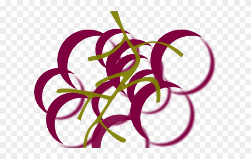 Grapes Clipart Vineyard Border - Wine Vines Clip Art - Png Download