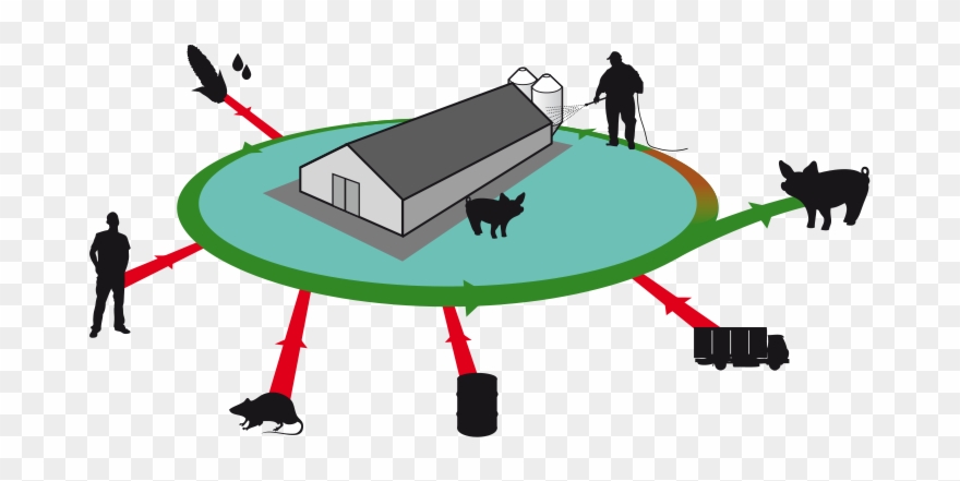 To Truly Assess How Risk Full A Certain Contamination - Bioseguridad Externa En Cerdos Clipart