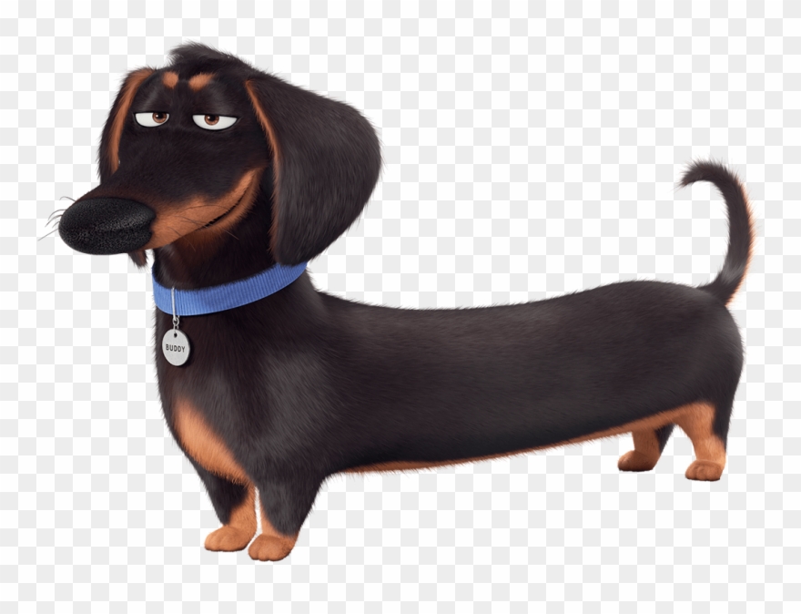 Download - Secret Life Of Pets 2 Ivan Clipart