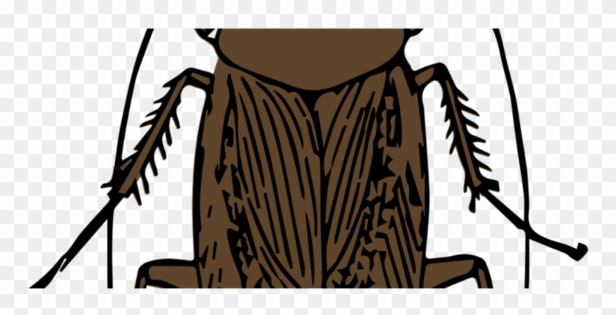 Roaches - Flying Cockroach Clipart - Png Download