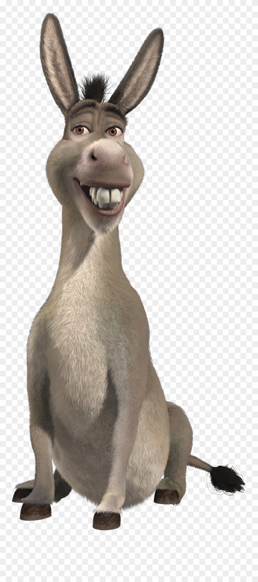 Universal Studios Wiki Fandom - Donkey Shrek Clipart