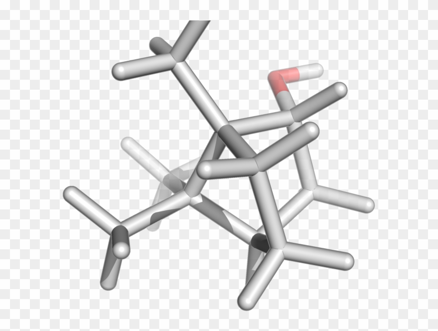 Isoborneol - Exercise Equipment Clipart