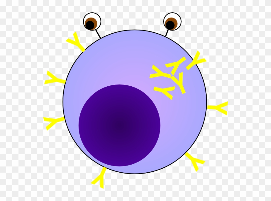 Clipart Of Cells, Plasma And Cell - Circle - Png Download