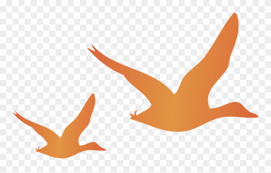 Flying Mallards, Small - Illustration Clipart