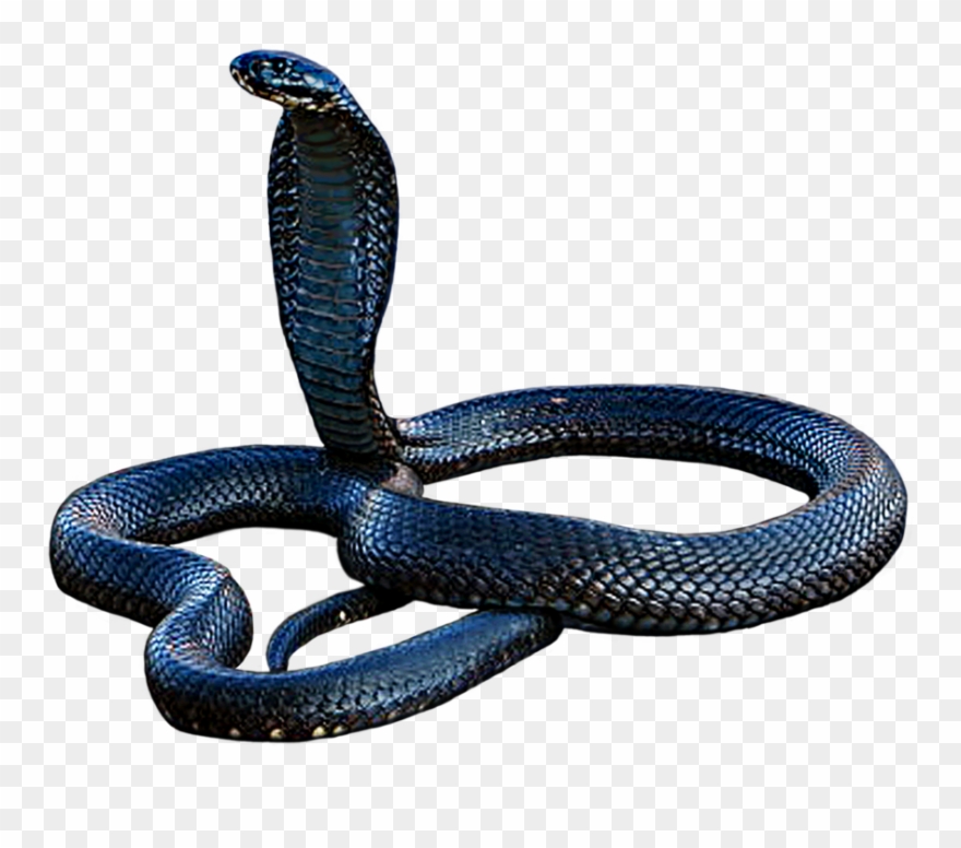 Cobra Png - Serpent Clipart
