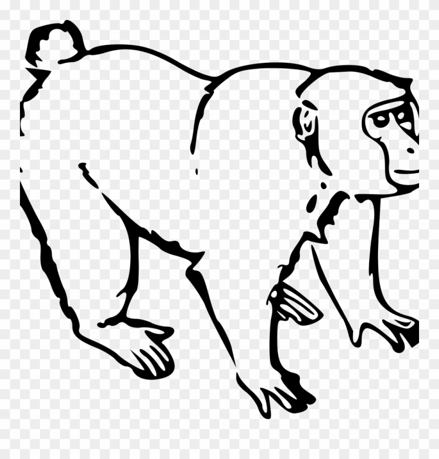 1024 X 1024 1 - Black And White Drawing Of Ape Clipart