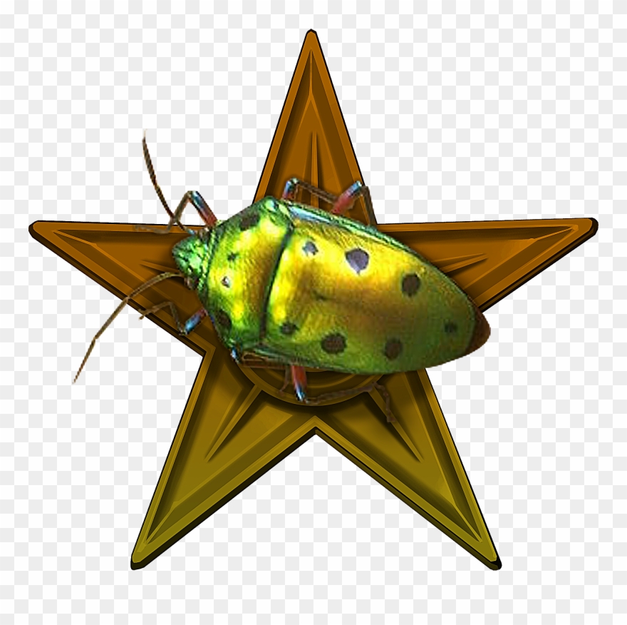 Entomology Barnstar - Video Game Clipart