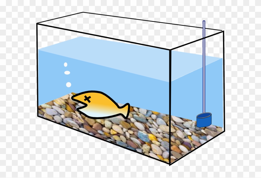 Does Aquarium Support Life Clipart