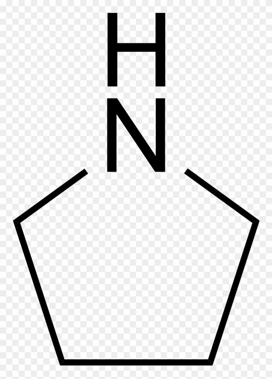 Pyrrolidine - Cyclic Nitrogen Compounds Clipart