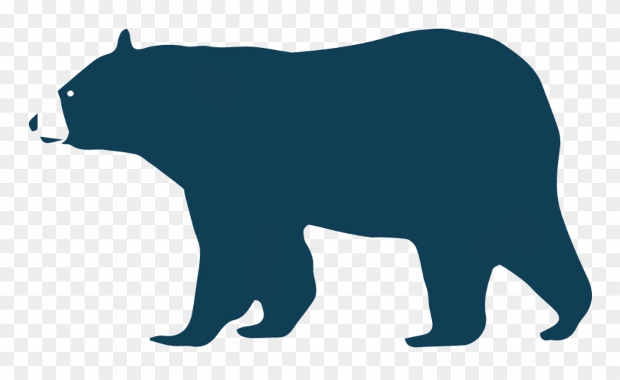 Do When You See A Bear Clipart