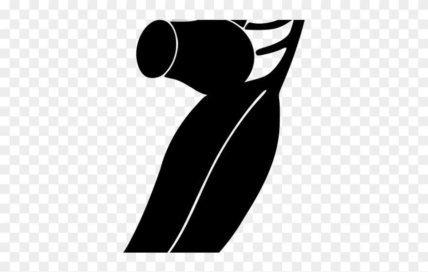 Eucalyptus Clipart Black And White - Clip Art Gum Leaf - Png Download