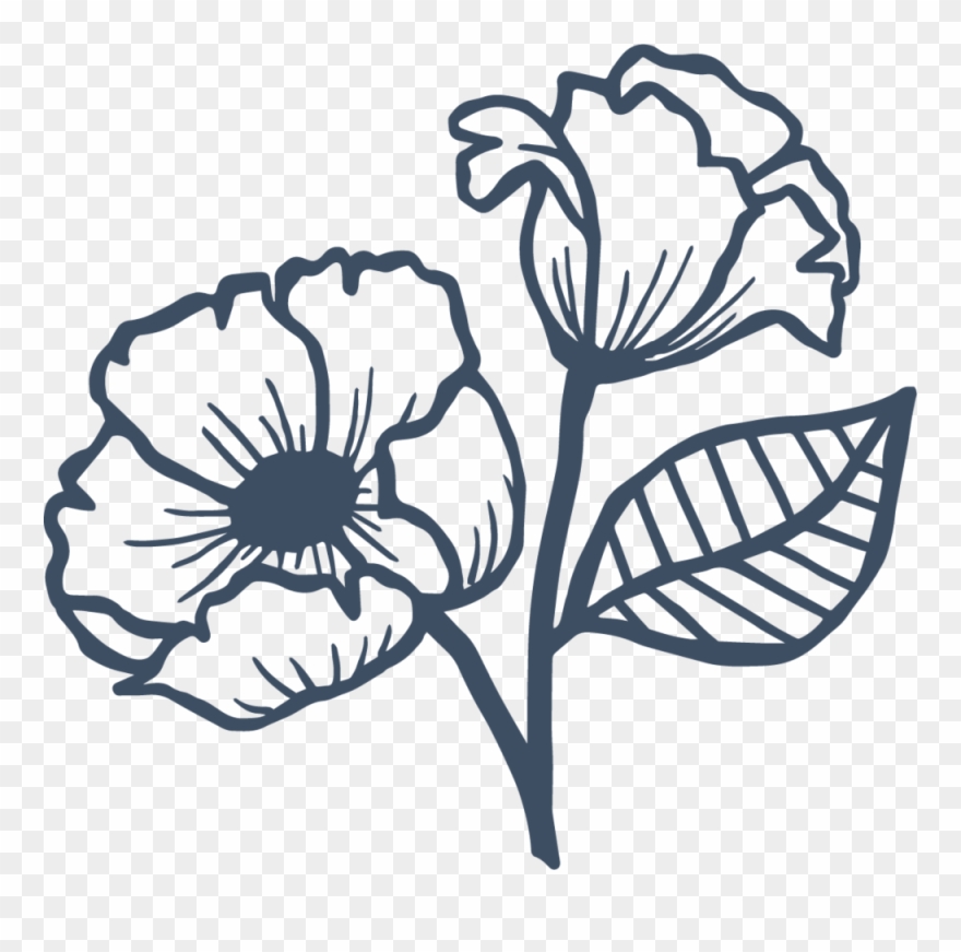 Anemone Blue - Line Art Clipart