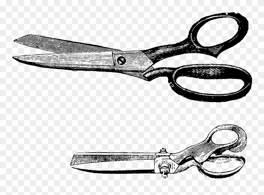 The Cutters' Practical Guide To The Cutting Of Ladies' - Iron Scissors Clipart