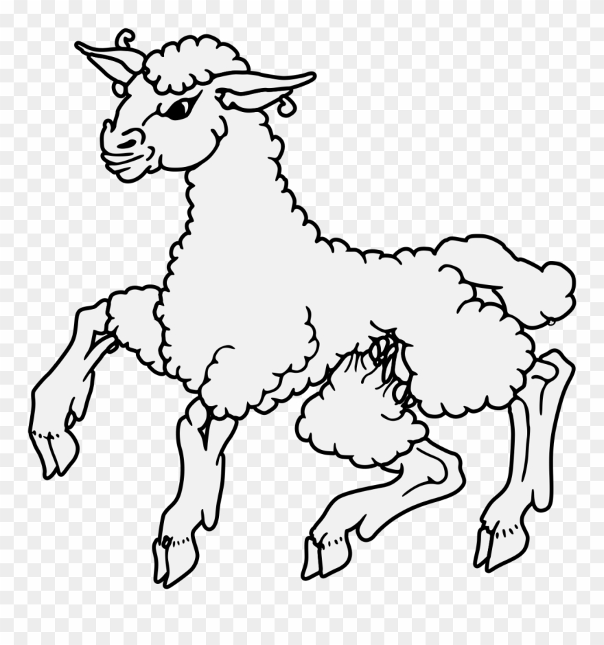 Details, Png, Svg - Line Art Clipart