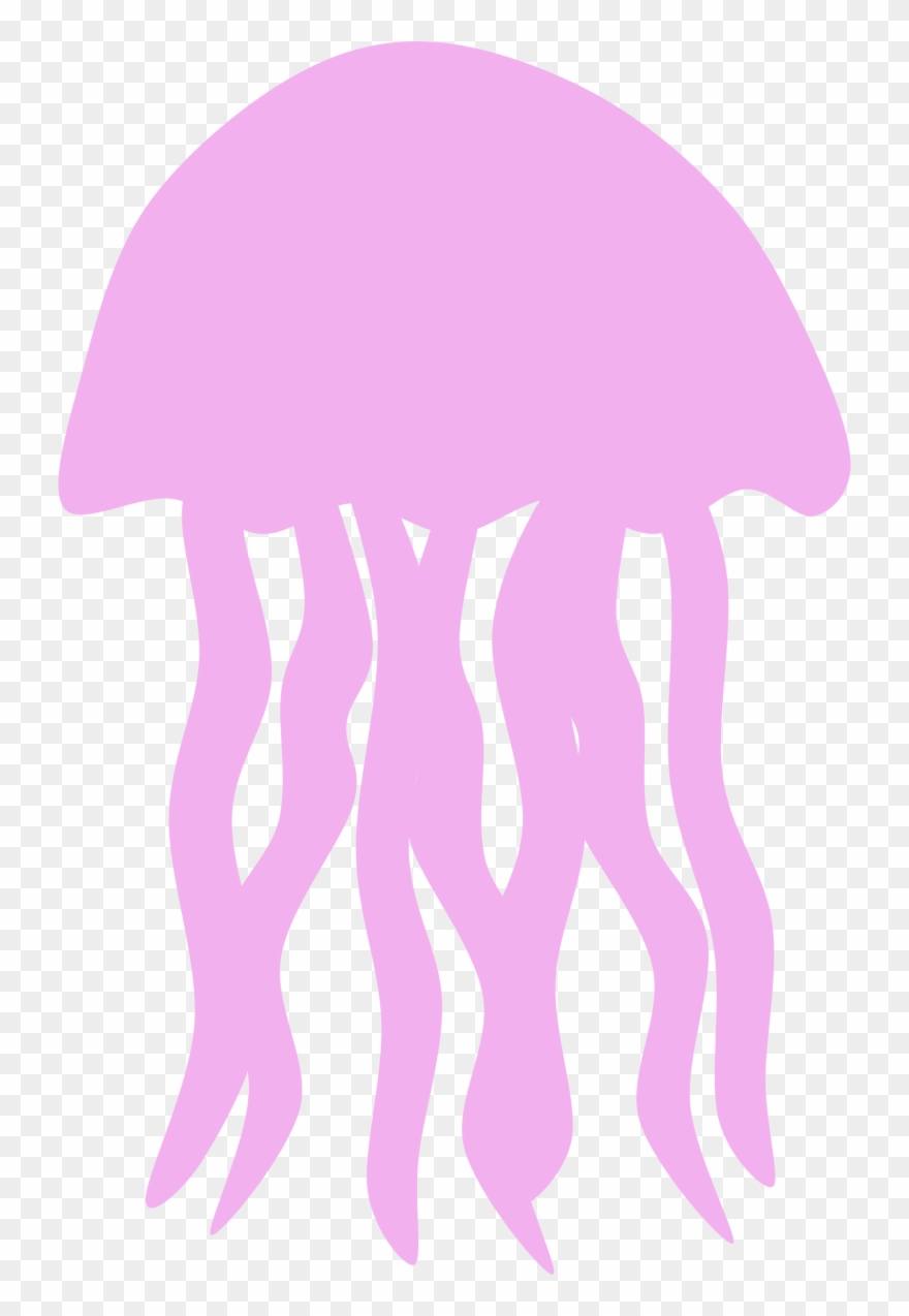 Download Png Picture Free Images Icons And Ⓒ - Jellyfish Png Clipart Transparent Png