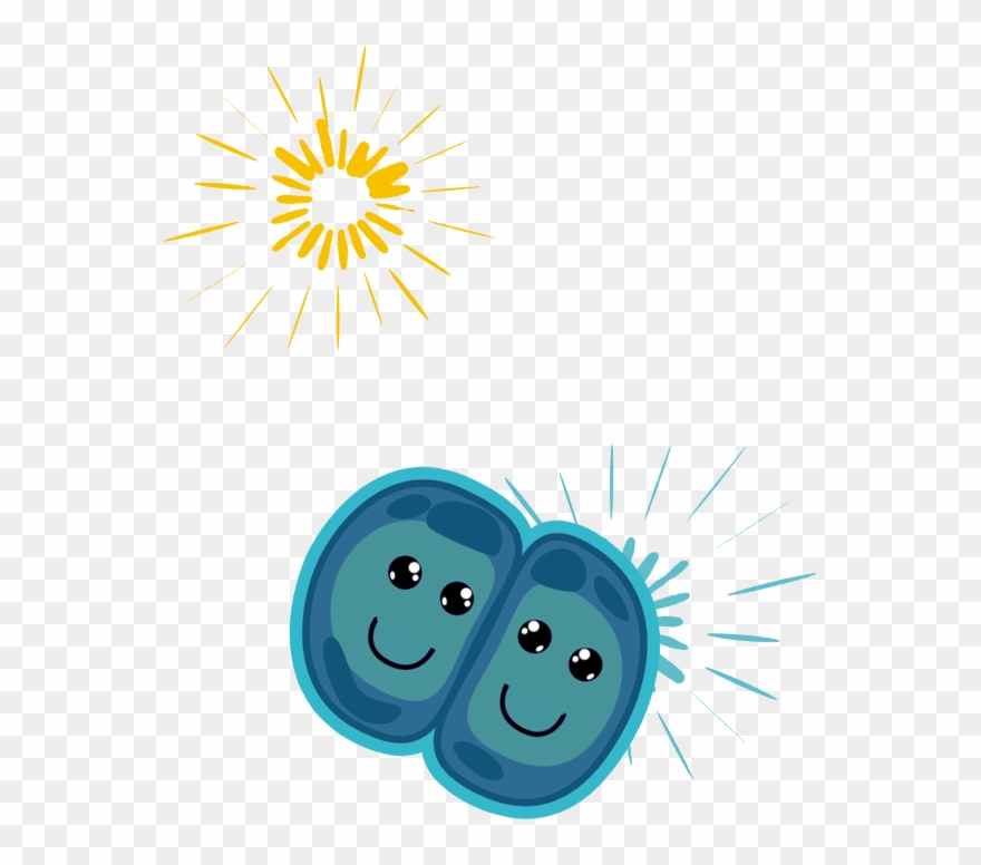 More Than 20 Unique, Interactive Floor Projection Games - Smiley Clipart