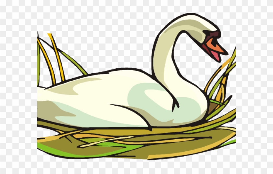 Goose Clipart Swans - Duck - Png Download