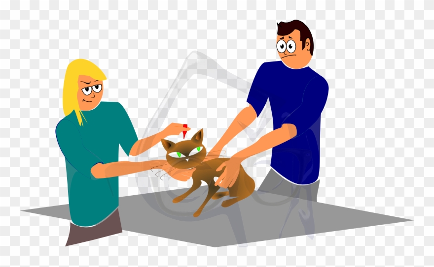 Cartoon Cat Getting Deflead - Cartoon Clipart