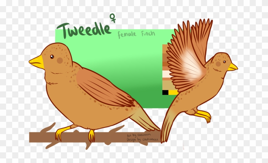 Picture - Duck Clipart