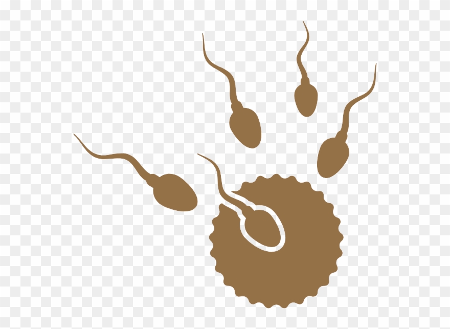 Donor Sperm - Raw Milk Made By Cow Clipart