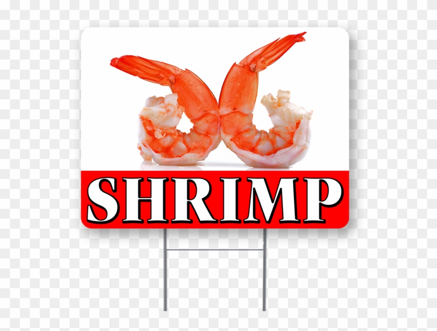 Shrimp - Dendrobranchiata Clipart