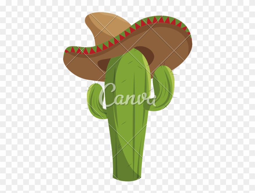 800 X 800 7 - Cactus With Mexican Hat Clipart