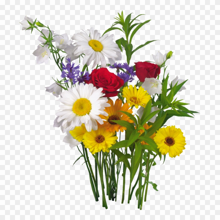 Colorful Flowers And Green Leaves Png Clipart Clipart - День Любви И Верности Transparent Png
