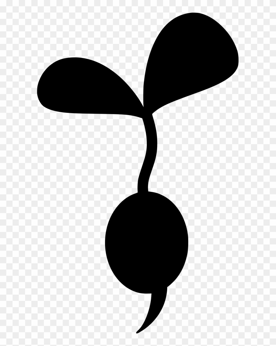 Download Png - Root Clipart