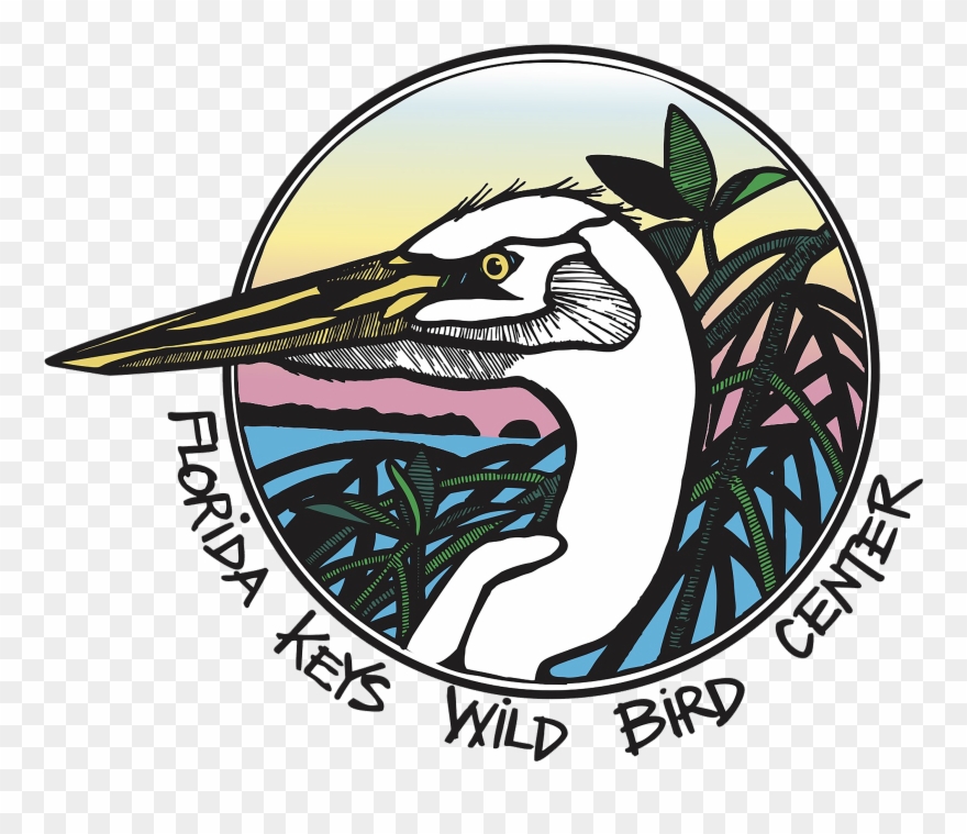 Florida Clipart